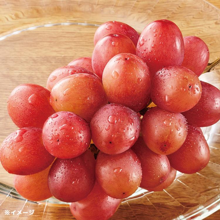 長野県産クイーンルージュ ／500g×3 計1.5kg | TBSショッピング