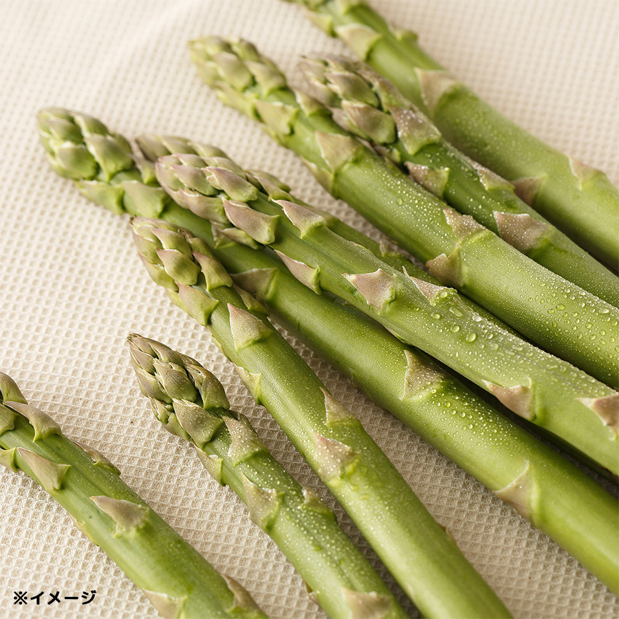 新潟県新発田産 アスパラガス／1kg | TBSショッピング
