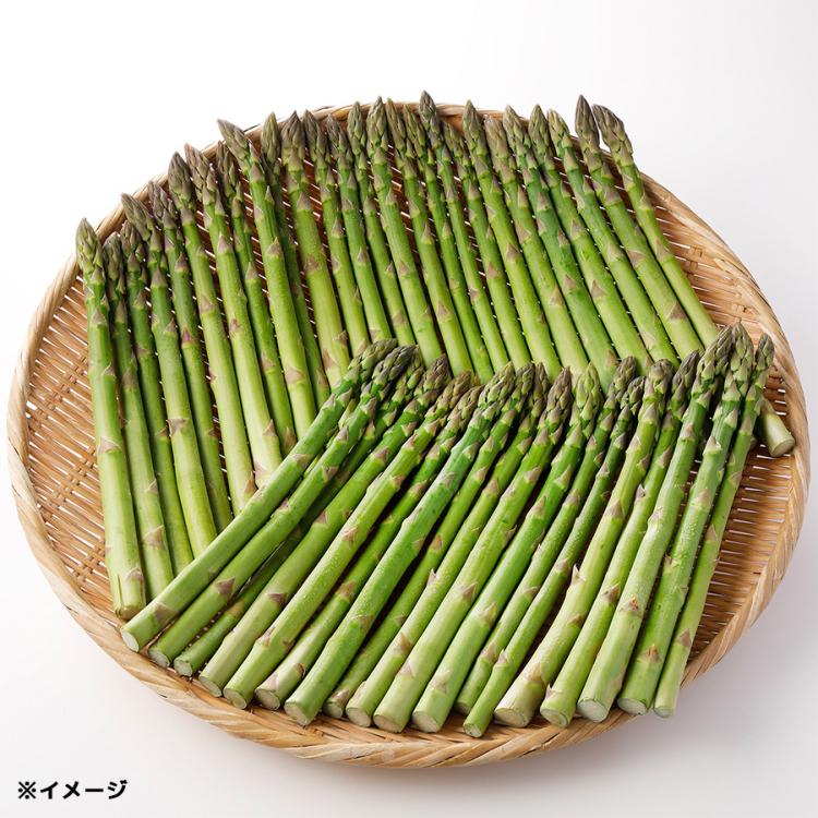 新潟県新発田産 アスパラガス／1kg | TBSショッピング