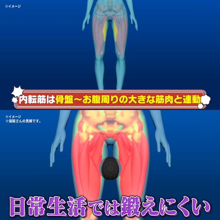 キュットボール 保阪尚希プロデュース キュッとボール／振動マシン | TBSショッピング
