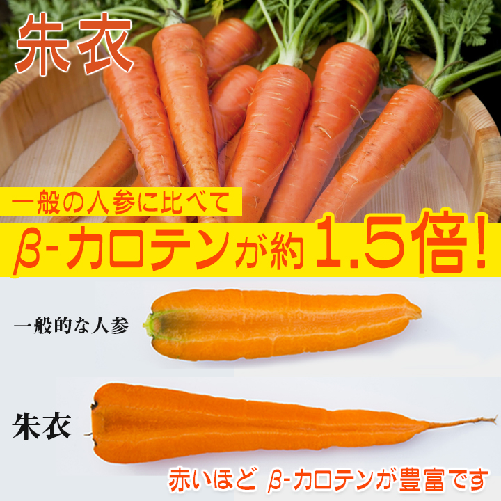 伊藤園「健康体」30品目野菜（缶） | TBSショッピング