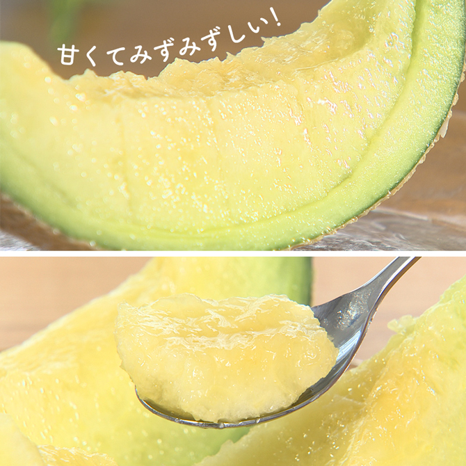 甘みがギュッとつまった旬のマスクメロン♪