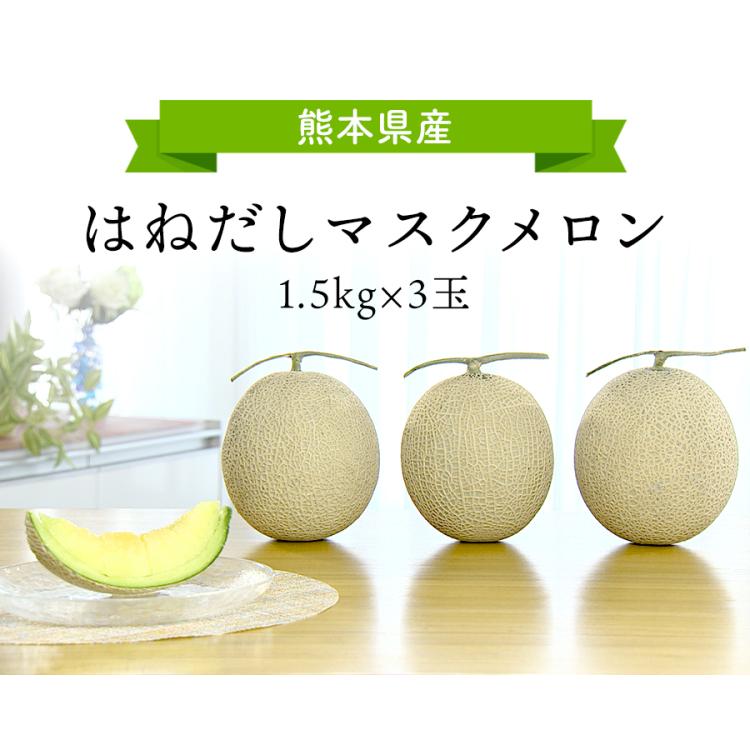 メロン9個どうしたの 局堂 今茂屋【庄内メロン】 9個 箱入 | 酒田観光物産協会直行便
