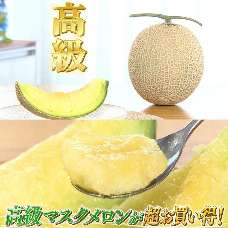 マスクメロン　美味しい 5玉　　9 ㎏ お歳暮】マスクメロン 2玉×約1.3kg ※11月30日～順次発送予定: とさの