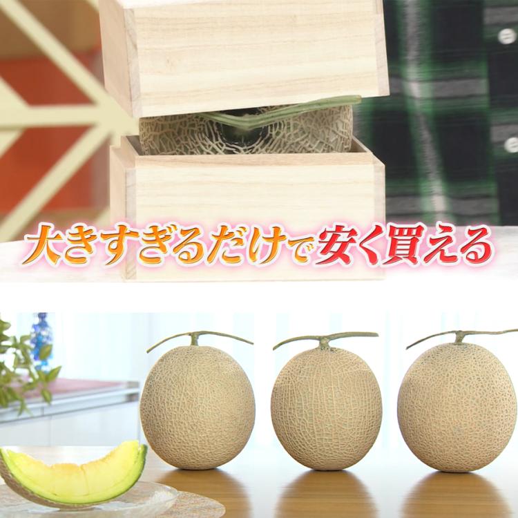 マスクメロン　美味しい 5玉　　9 ㎏ お歳暮】マスクメロン 2玉×約1.3kg ※11月30日～順次発送予定: とさの