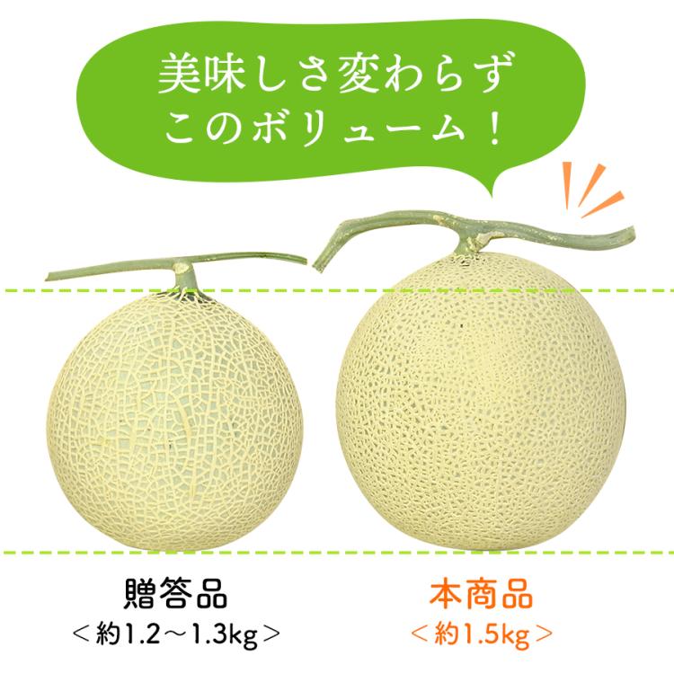 マスクメロン　美味しい 5玉　　9 ㎏ 先行予約》 渥美半島産 マルカ農園のマスクメロン 2玉 (1玉1.5kg以上