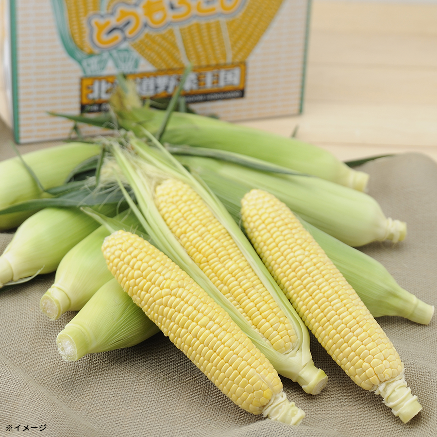 北海道産 とうもろこし 味来コーン／11～13本 4.8kg | TBSショッピング