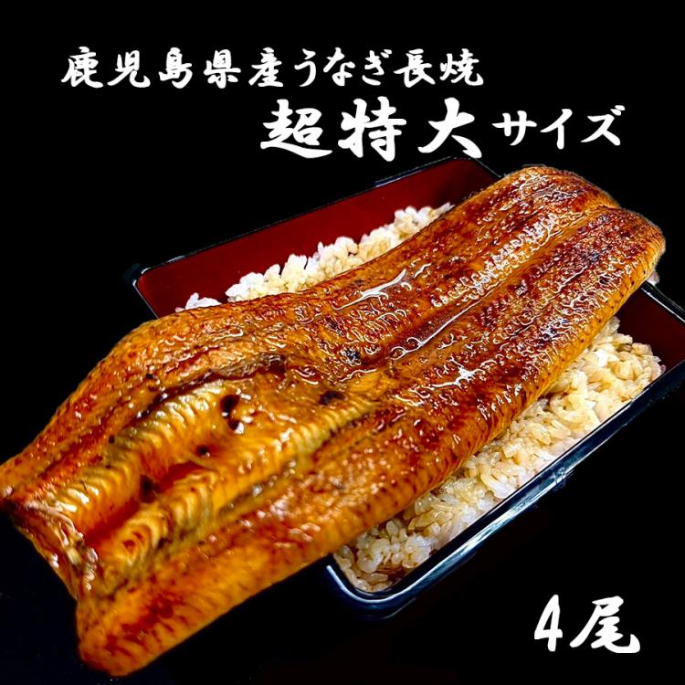鹿児島県産うなぎ長焼 超特大サイズ | TBSショッピング