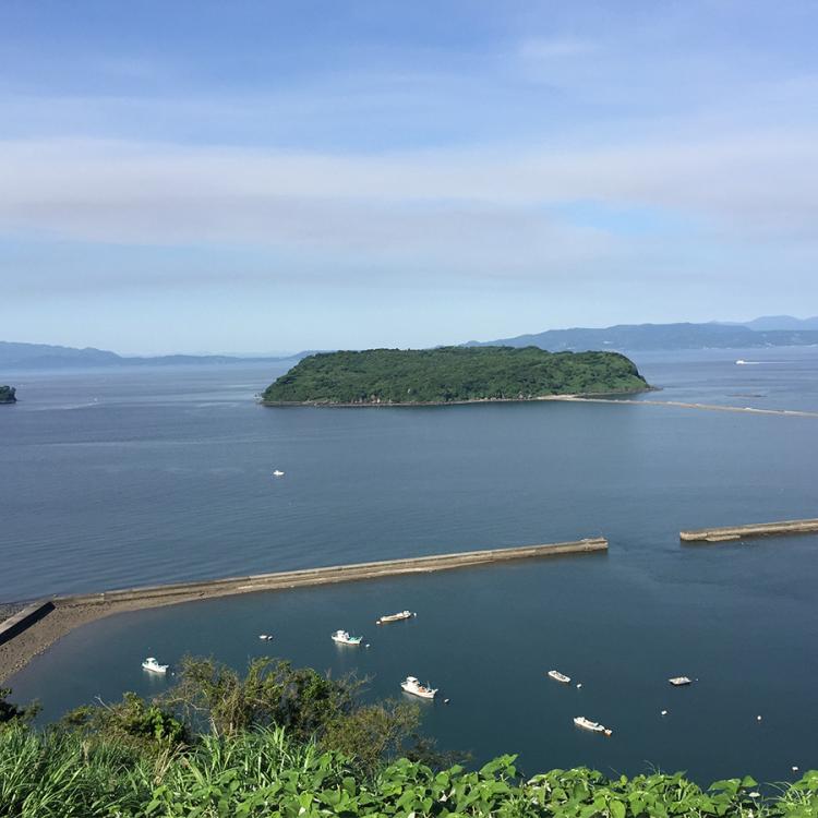 鹿児島県産うなぎ長焼 超特大サイズ | TBSショッピング