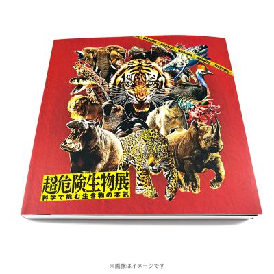 最後の恋 1巻〜6巻DVD-BOX（国内正規品） 中居正広　 常盤貴子 最後の恋／DVD-BOX（送料無料・6枚組） | TBSショッピング