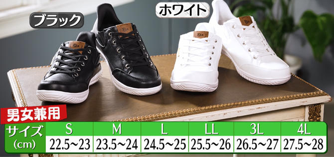 カラーは2色からお選びください。