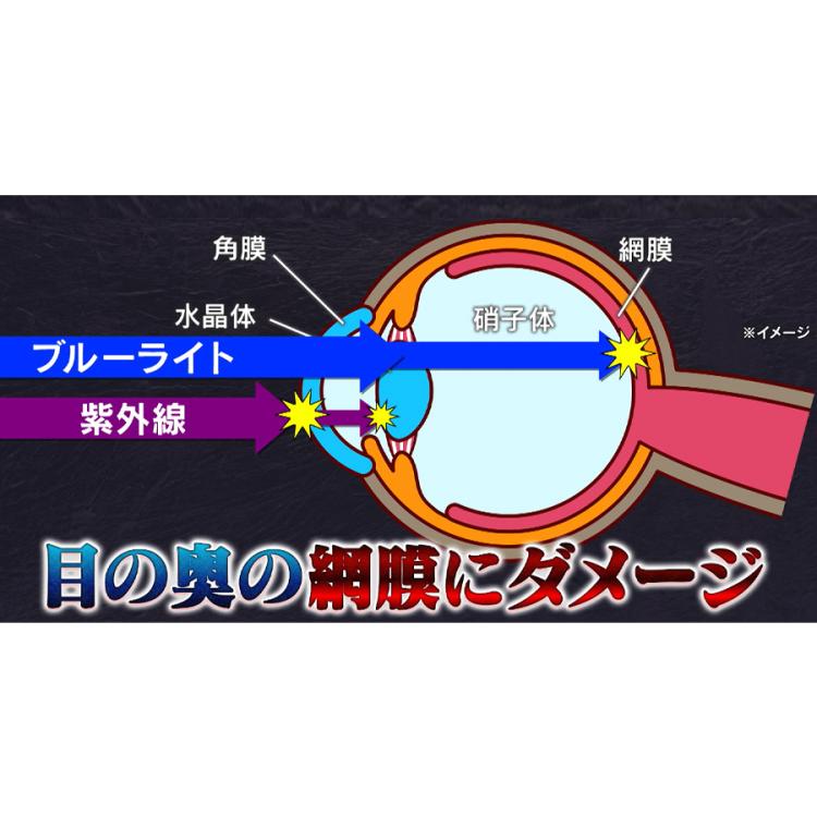 WEB限定】アイブレラ クリアノーブル／透明サングラス／紫外線カット