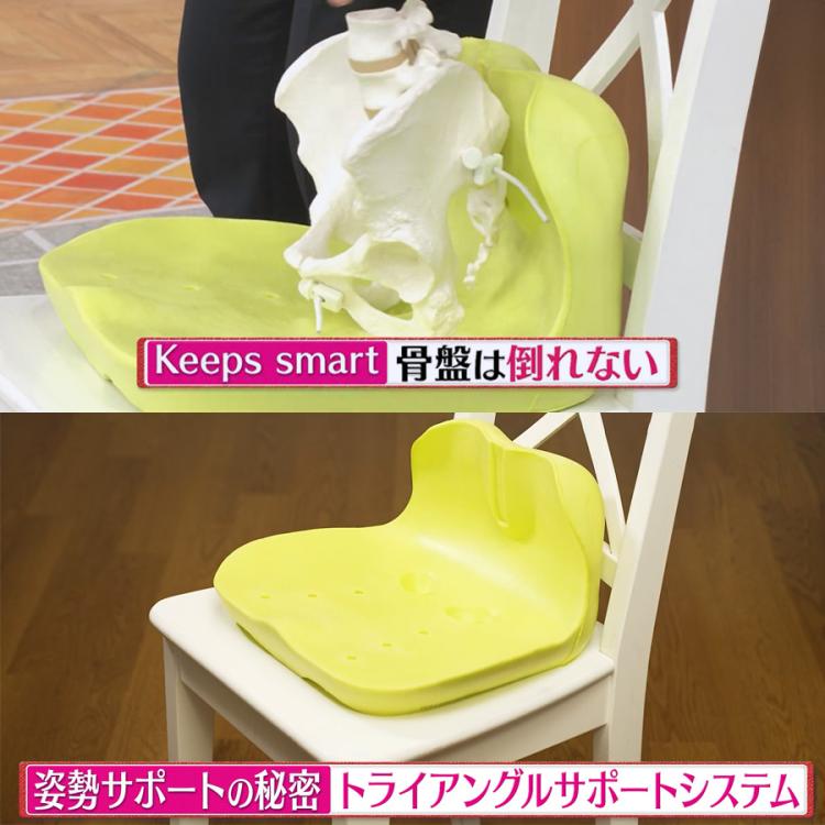 nishikawa Keeps smart／クッション | TBSショッピング