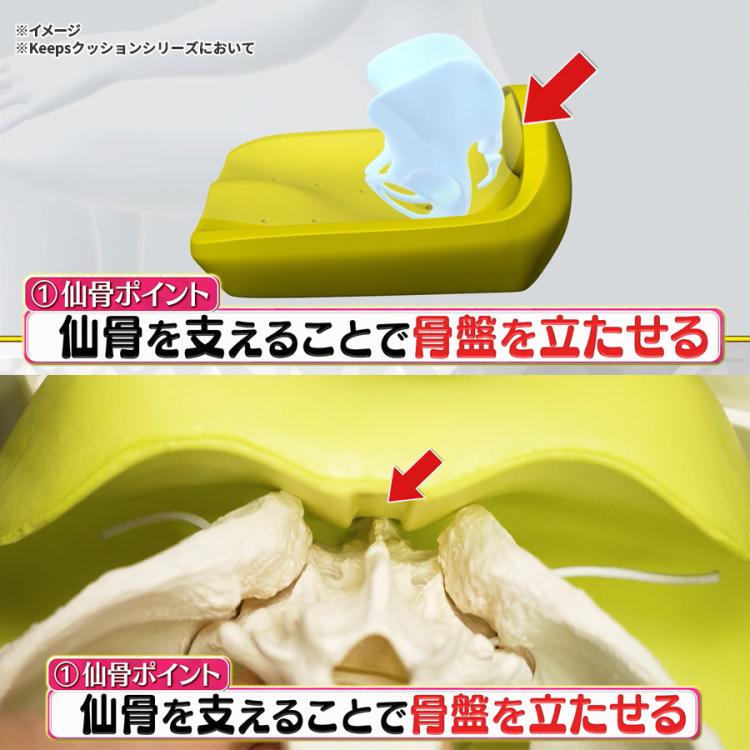 nishikawa Keeps smart／クッション | TBSショッピング