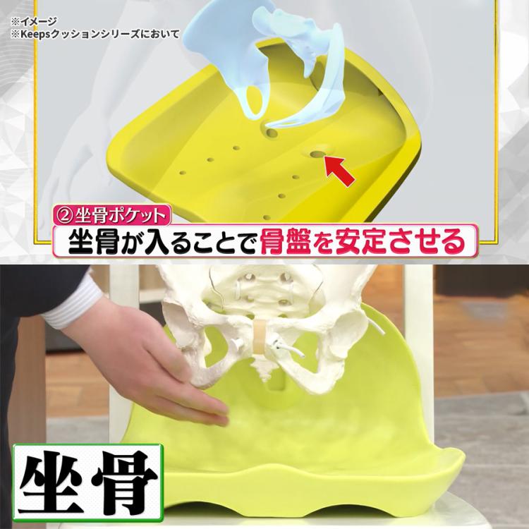 nishikawa Keeps smart／クッション | TBSショッピング