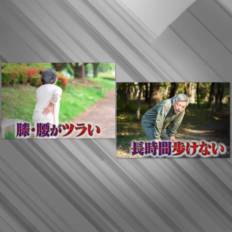 ムテキインソール／よりどり3足セット／Mサイズ・Lサイズ | TBS