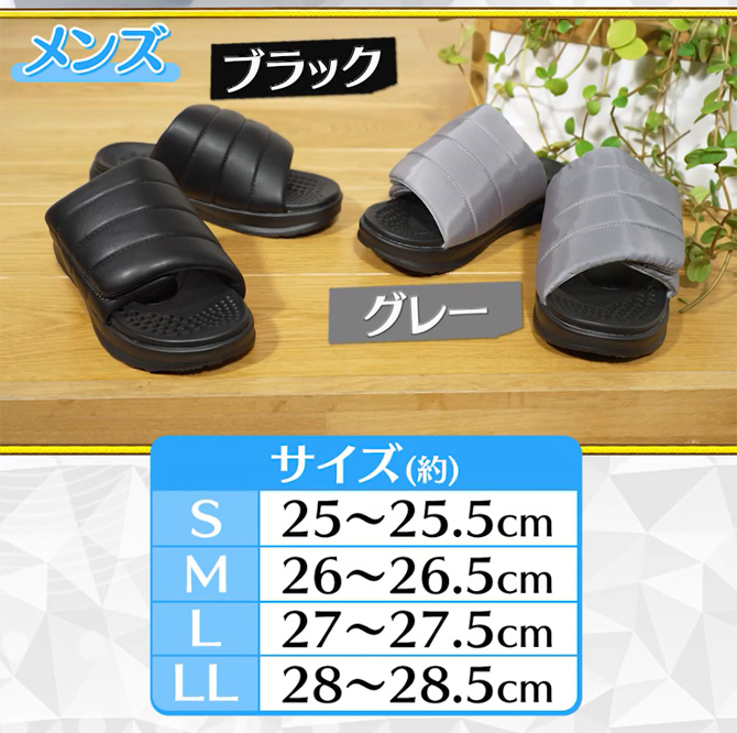 カラーは2色からお選びいただけます