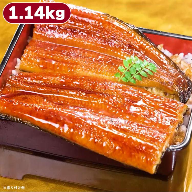 鹿児島県産うなぎ長焼き 特大サイズ | TBSショッピング