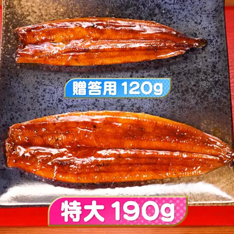 鹿児島県産うなぎ長焼き 特大サイズ | TBSショッピング