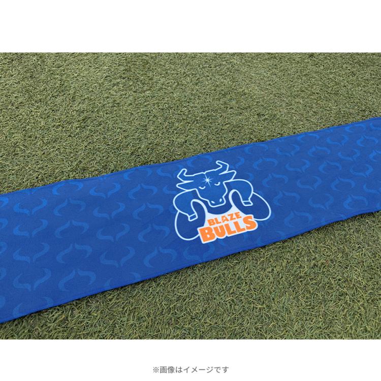 ユン・ヤン出品 ドラフェス メンバータオル トレカケース 日曜劇場『GIFT』／マフラータオル【劇中登場】 | TBSショッピング