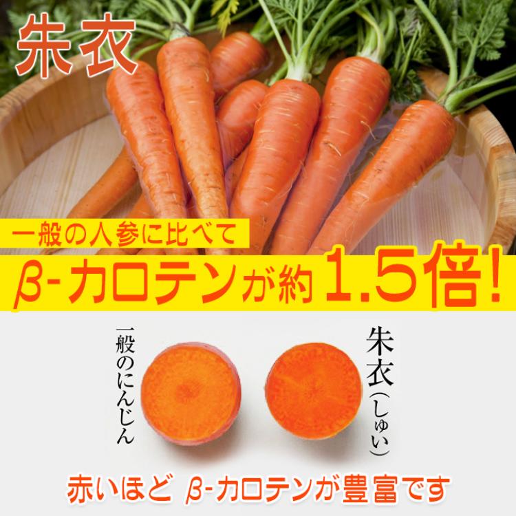 伊藤園「健康体」30品目野菜(缶) 160g／60本・120本 | TBSショッピング