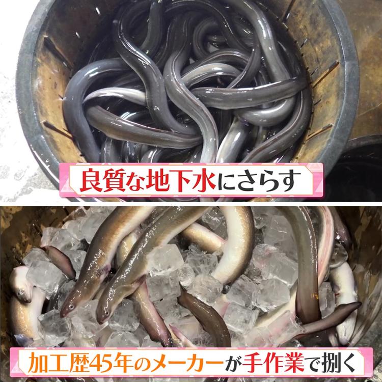 鹿児島県産 訳あり うなぎ長焼き／140g×5尾 計700g | TBSショッピング