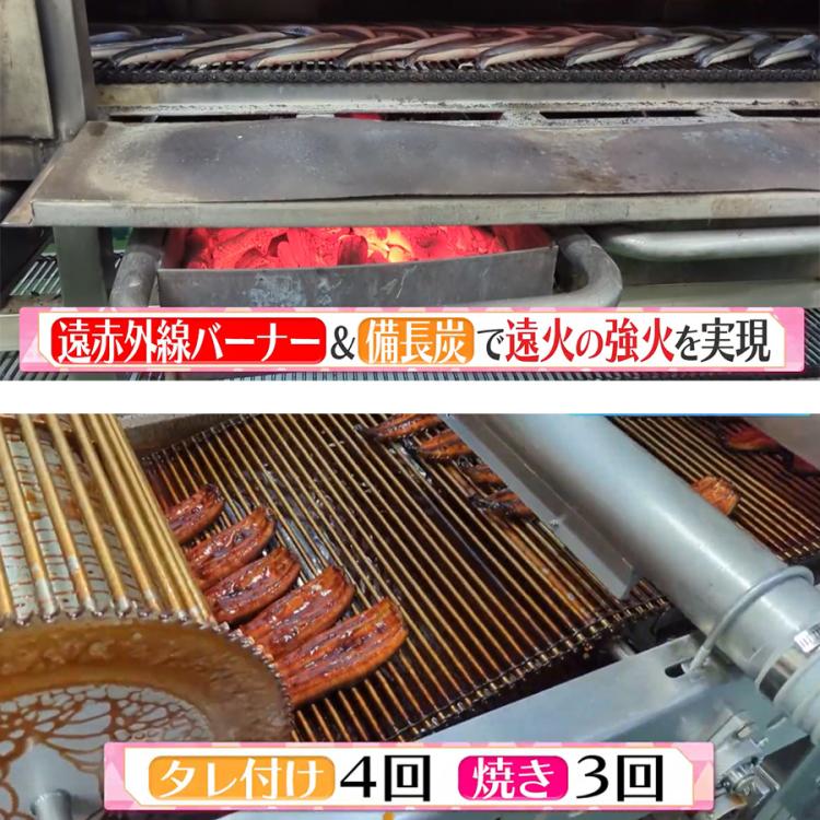 鹿児島県産 訳あり うなぎ長焼き／140g×5尾 計700g | TBSショッピング