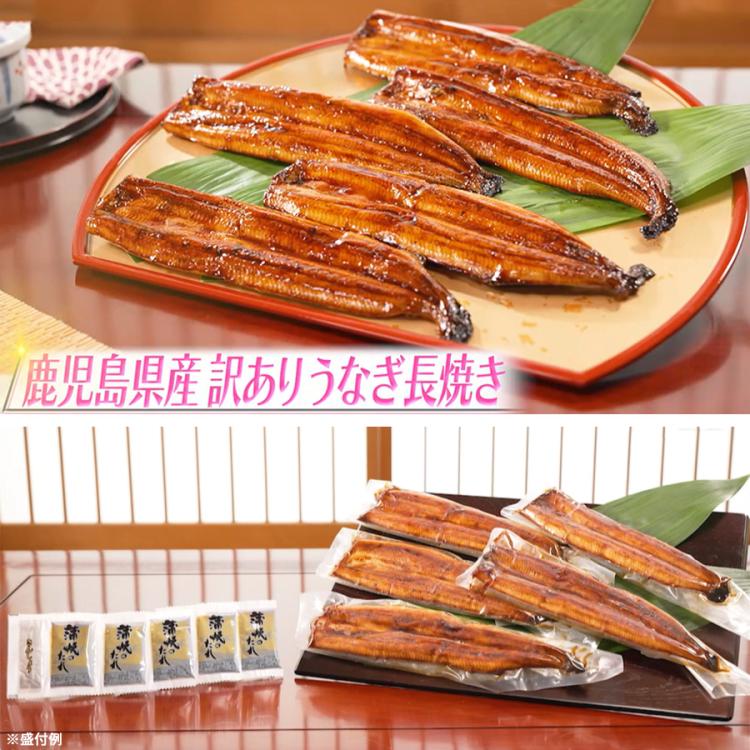 鹿児島県産 訳あり うなぎ長焼き／140g×5尾 計700g | TBSショッピング