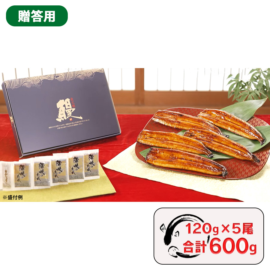 贈答用】鹿児島県産 うなぎ長焼き／120g×5尾 計600g | TBSショッピング