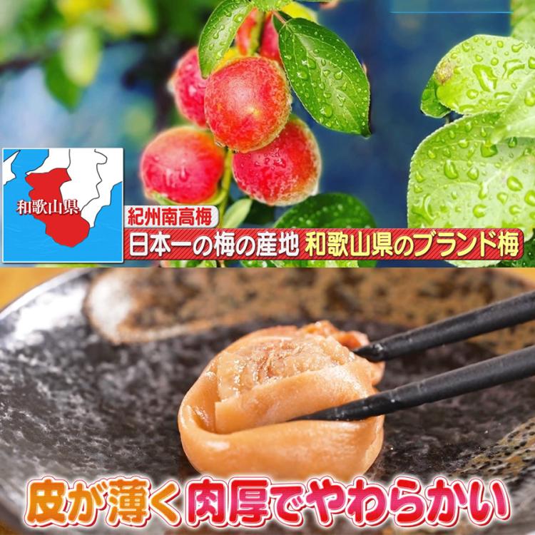 蔵ざらえ】紀州南高梅はねだし梅干しはちみつ入 塩分約8% / 600g×2