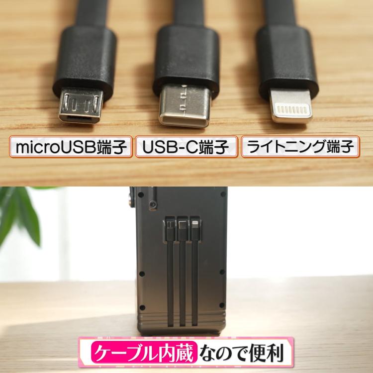 多機能ポータブル電源 エネポルタNEO・ソーラーパネルセット／大容量