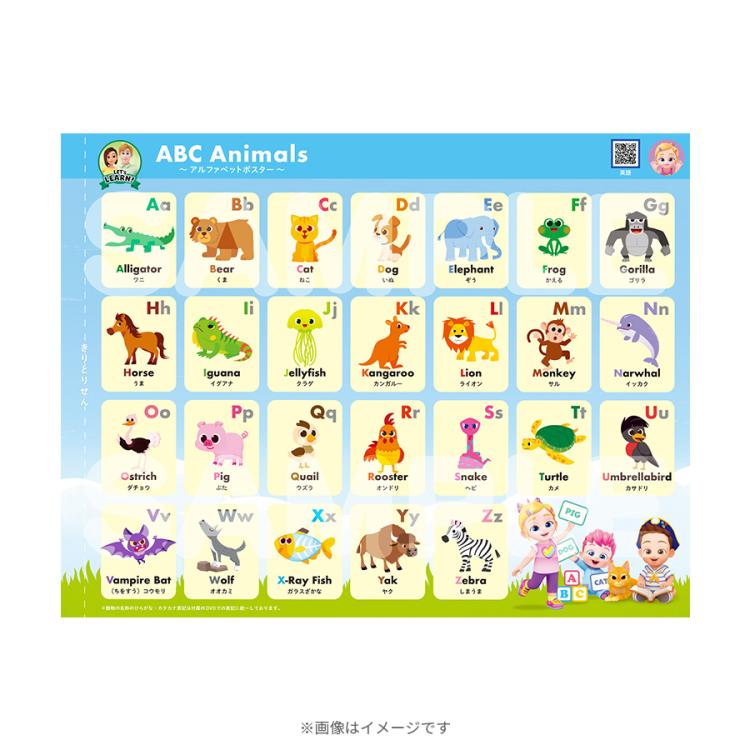 Bebefinn 【べべフィン】 -Animals- DVD付ワークブック | TBS
