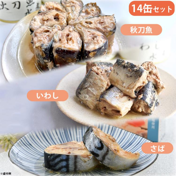 青魚水煮缶詰セット | TBSショッピング