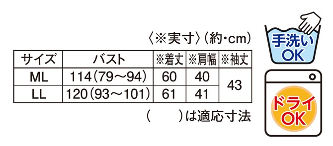 サイズ