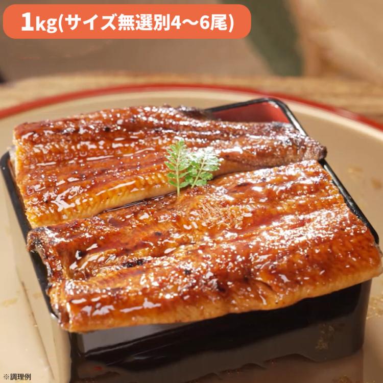 愛知県一色産 兼光 特大うなぎ長焼き お徳用セット | TBSショッピング