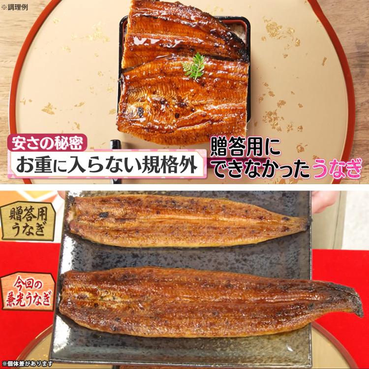 ［特大鰻］［国産うなぎ］［特大6尾］三河一色産　鰻　炭焼き 愛知県一色産 兼光 特大うなぎ長焼き お徳用セット | TBSショッピング