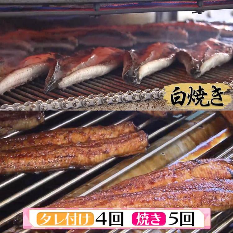 愛知県一色産 兼光 特大うなぎ長焼き お徳用セット | TBSショッピング