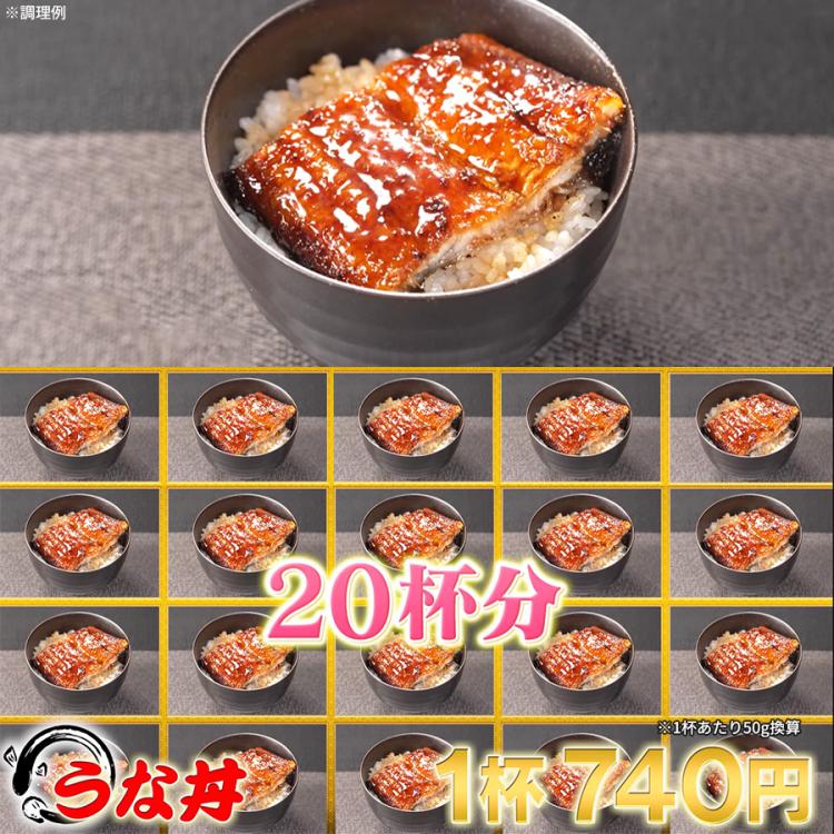 愛知県一色産 兼光 特大うなぎ長焼き お徳用セット | TBSショッピング