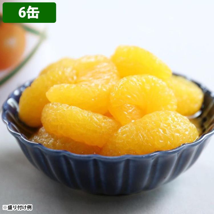 甘夏みかん 業務用缶詰／4缶 または 6缶 | TBSショッピング