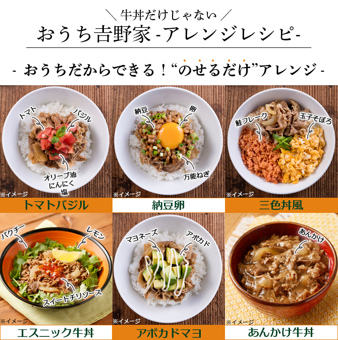 吉野家 牛丼の具(通常サイズ) | TBSショッピング