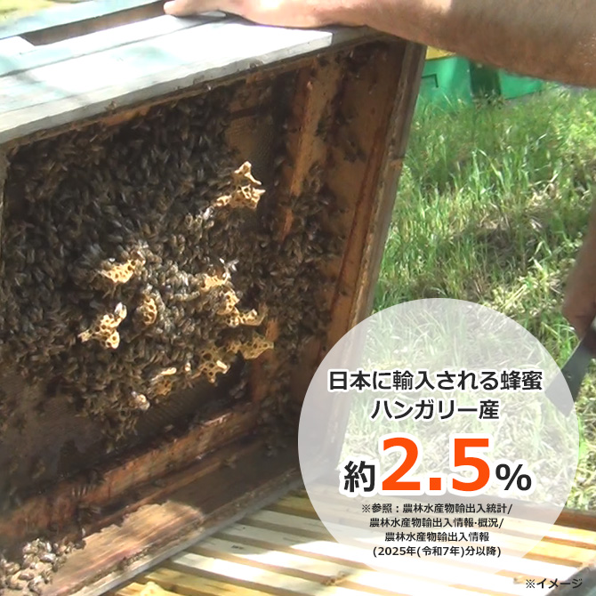「蜂蜜の女王」と呼ばれる「アカシア蜂蜜」