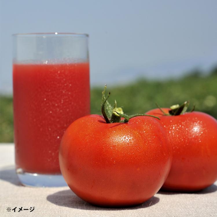 信州生まれのおいしいトマトジュース/190g×20本 または 190g×40本