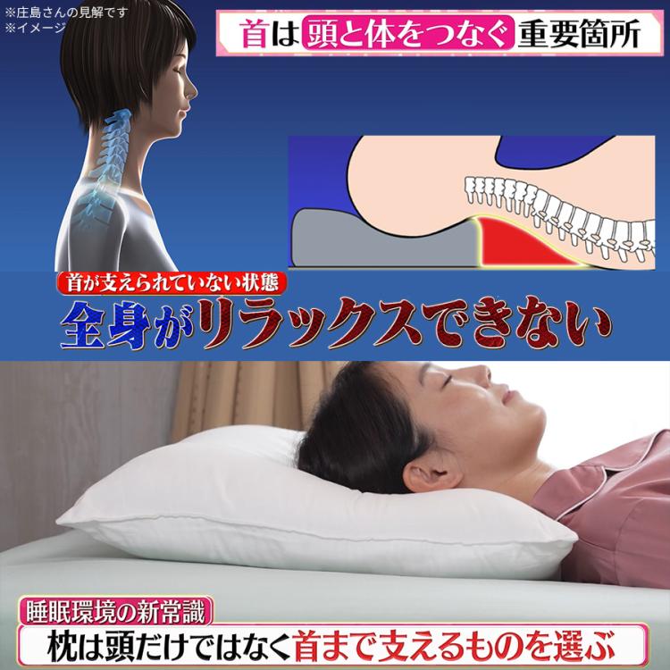 ボディチューニングピロー エアトラスPro | TBSショッピング
