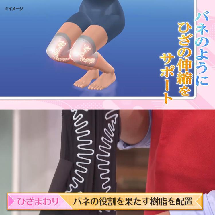 皮膚感覚ひざサポーター バネボーン | TBSショッピング