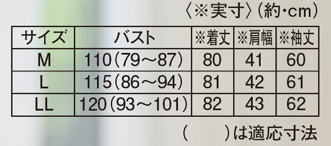 サイズ