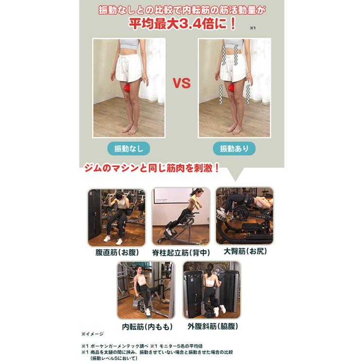 シェイプツインボール／振動マシン（5段階調整） | TBSショッピング