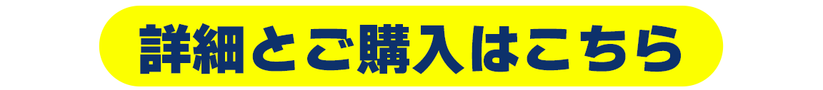 詳細とご購入はこちら（防犯カメラ）
