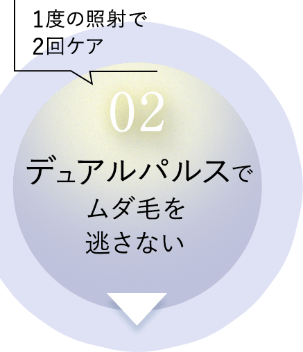 02 デュアルパルスでムダ毛を逃がさない ボタン