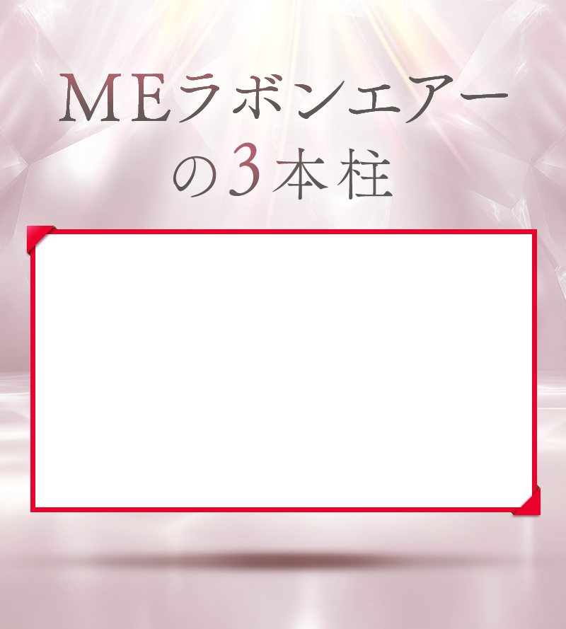 MEラボンエアー 商品詳細 MEラボンエアー｜株式会社川オンラインショップ