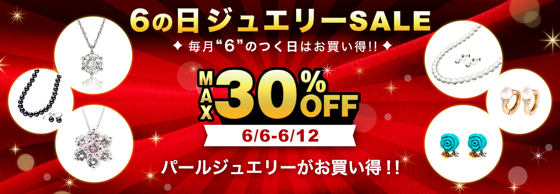 6の日セール